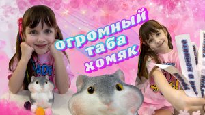 ОГРОМНЫЙ Таба Хомяк 🐹 РАСПАКОВКА и Челлендж