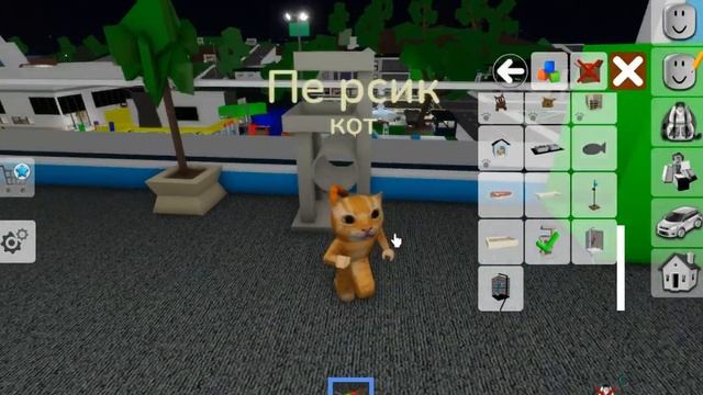 ИЩУ ХОЗЯЙКУ В БРУКХЕЙВЕНЕ! Roblox Brookhaven🏡RP смотреть онлайн