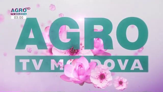 Artem22 Mytona Logo смотреть онлайн