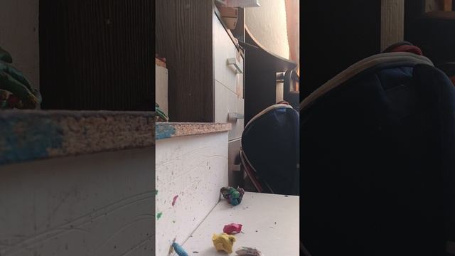 1000007481.mp4хаги ваги