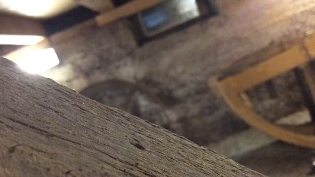 02 Holzwirtschaft und Wasserkraft im Dreisamtal смотреть онлайн
