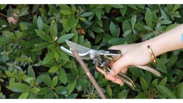 High quality pruning shears смотреть онлайн
