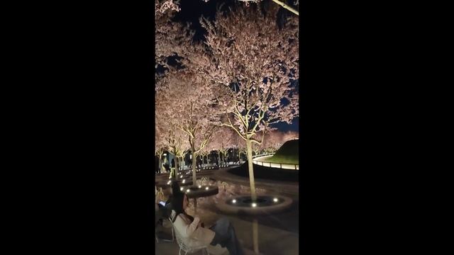 Весна в Краснодаре