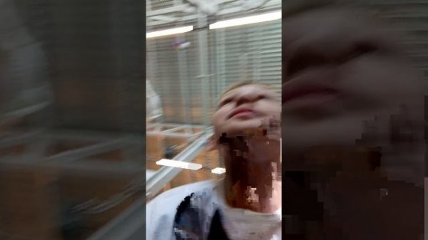 в Рио Кидс 2