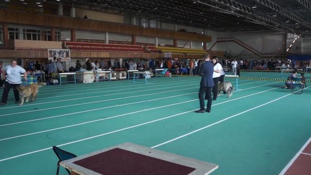 пенза 21 09 14 - 2 смотреть онлайн