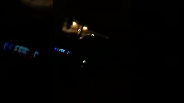 Hi bro смотреть онлайн