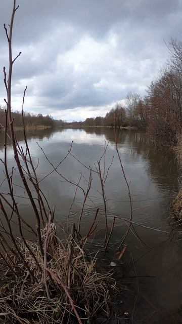 Полые воды смотреть онлайн
