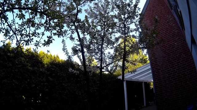 Meditacion /Sakura/Медитация/Цветение Вишни смотреть онлайн