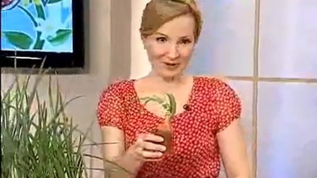 luk смотреть онлайн