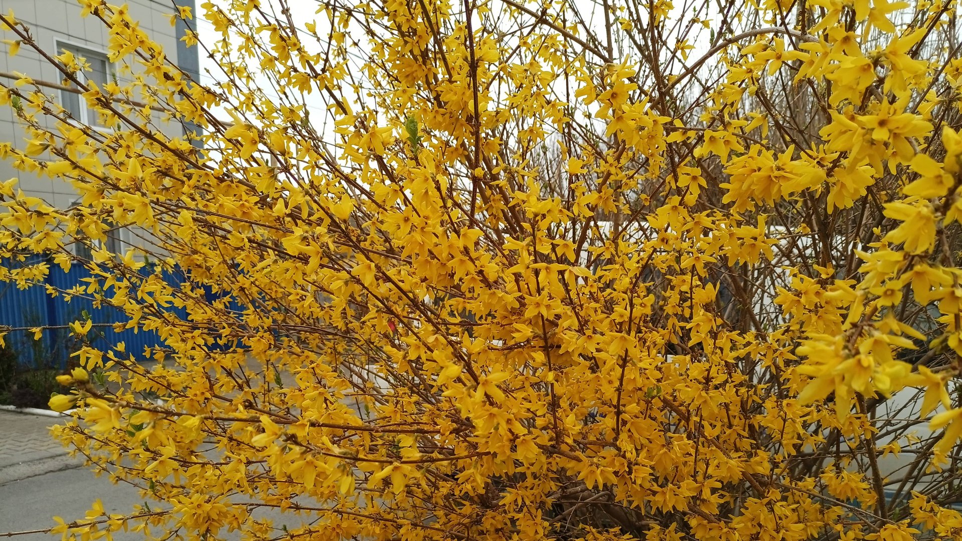 Анапа и море. 30.03.2025 смотреть онлайн