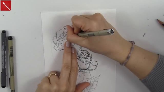 Rosa con Penne Micron ed Acquerelli Winsor&Newton (Disegno)Arte per Te смотреть онлайн