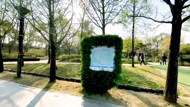 April 26, 2021: SEOUL FOREST PARK TULIP GARDEN || SPRING 2021 || SEOUL || Clari Bel || смотреть онлайн