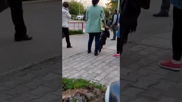 Обычный день в Белорецке смотреть онлайн