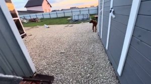 Как поднять участок своими руками. Обзор Дачи