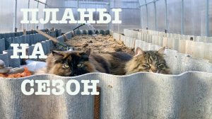 #170. Первые посадки. О планах на сезон. Варено-копченая грудка индейки. [Жизнь на своей земле]