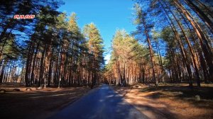 Весенняя прогулка по эко маршруту «Ленинская тропа»