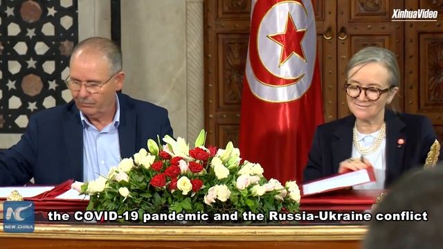 Tunisian gov't, labor union reach deal on wage rise to keep stability смотреть онлайн