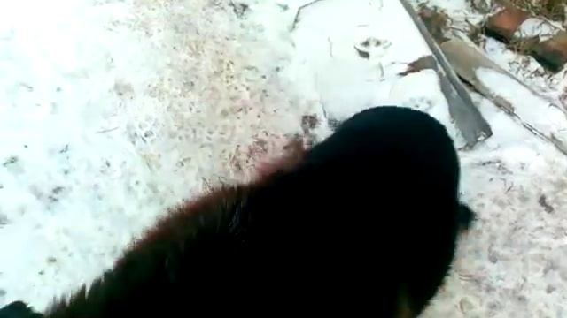 Кто ты? смотреть онлайн