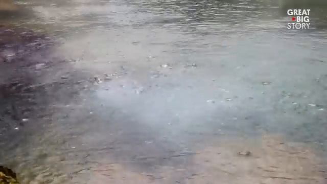 The Amazon’s Boiling River Kills Anything That Enters
