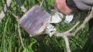 Воздушные отводки фруктовых деревьев