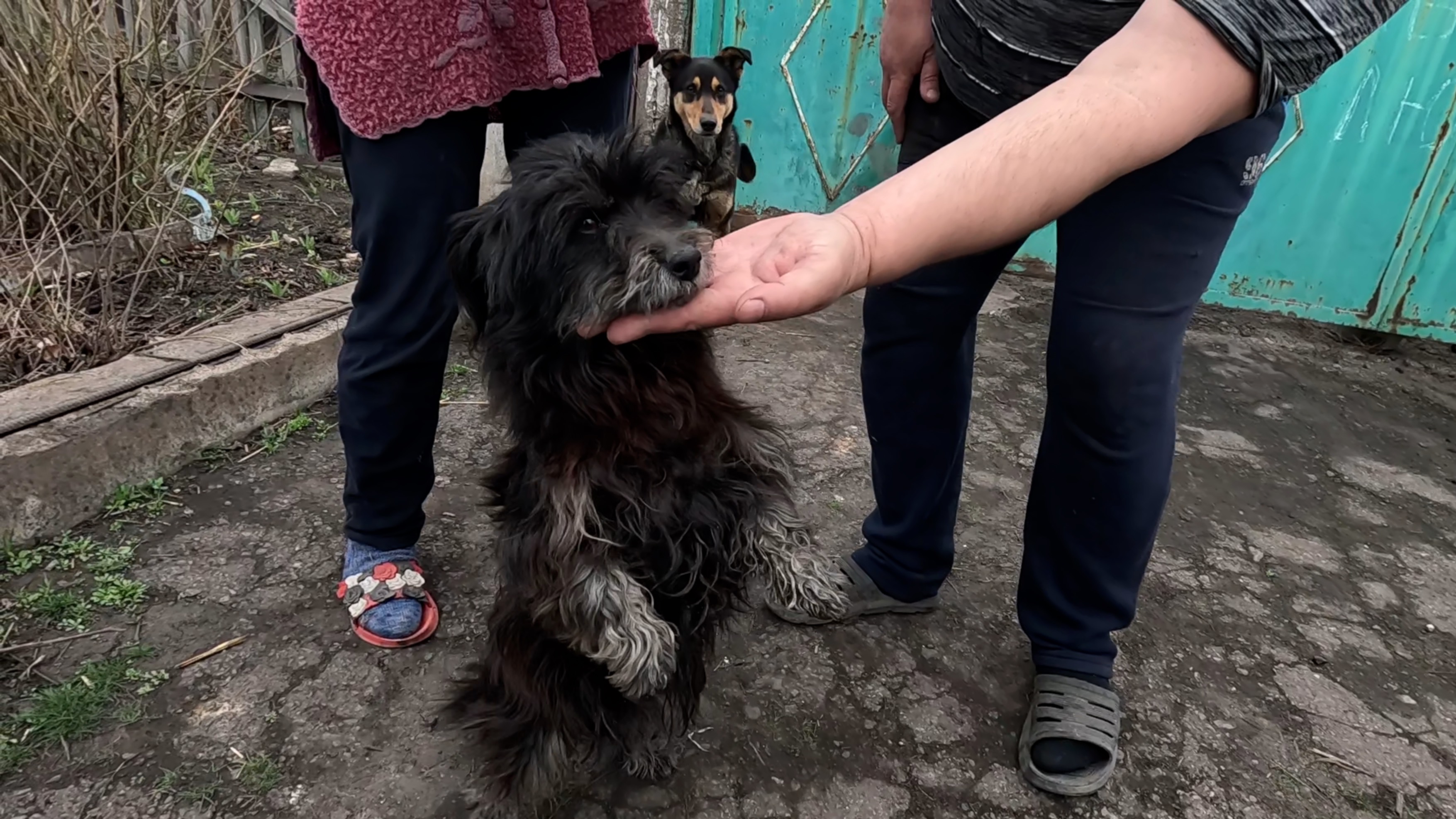 Несем добро в каждую хату Не забываем гражданское население Март 2025 смотреть онлайн