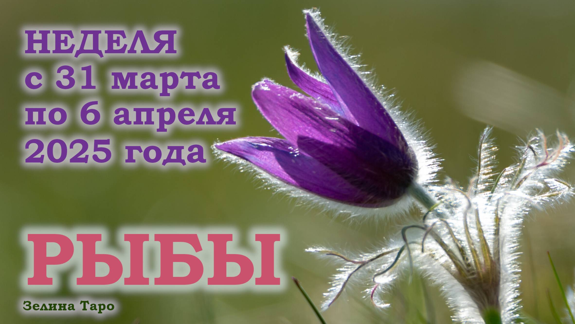 РЫБЫ | ТАРО прогноз на неделю с 31 марта по 6 апреля 2025 года