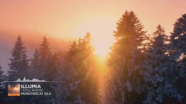 I Still Know [Monstercat Release]