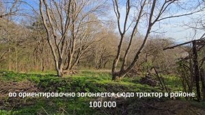 Лесная Поляна.mp4