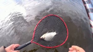 Летняя мормышка. Портновский пруд. 1 мая 2024. Рыбалка на поролон.