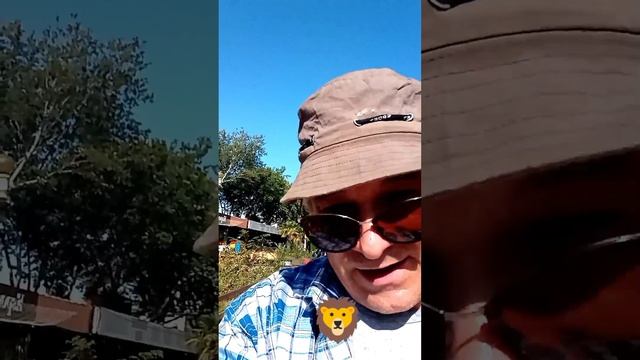 В жаркой знойной Африке🦒 смотреть онлайн