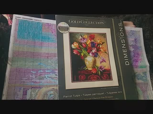 Отшив проекта DIMENSIONS " Попугайские тюльпаны" отчет 20 смотреть онлайн