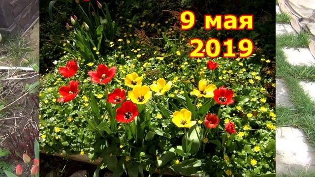 9 мая. Холодно. Мысли о прошлом и будущем смотреть онлайн