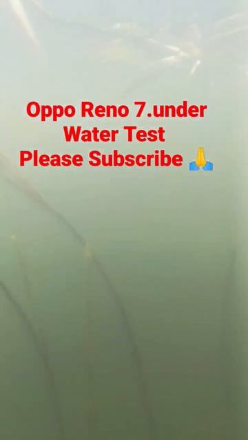 Oppo Reno 7 Under Water test смотреть онлайн