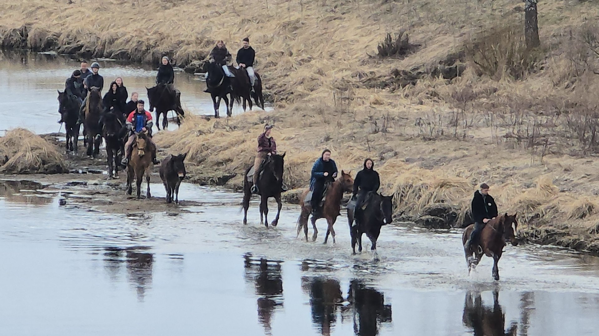 На реке с лайками и щенком