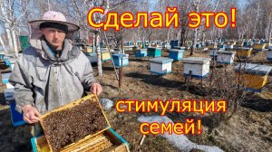 РАННЯЯ СТИМУЛЯЦИЯ СЕМЕЙ! Ревизия и сокращение!