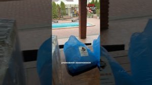 Карпы Кои ферма в Севастополе