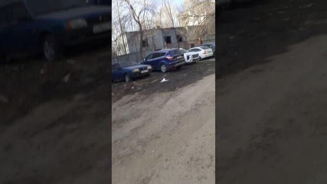 20250327_171124 смотреть онлайн