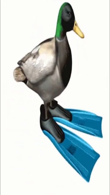 утка крутится под эпичную музыку смотреть онлайн