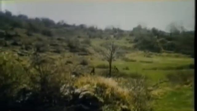 Susana Gimenez en El Macho 1977 смотреть онлайн