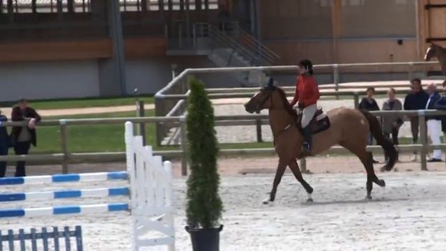 Reinette du Gue (Nidor Platiere) смотреть онлайн