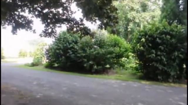 Bucks county tree farm shows you how to plant partial shade trees in your backyard смотреть онлайн
