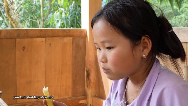 Build a bathroom using water, sell some of the farm's ducks - Luu Linh Family смотреть онлайн