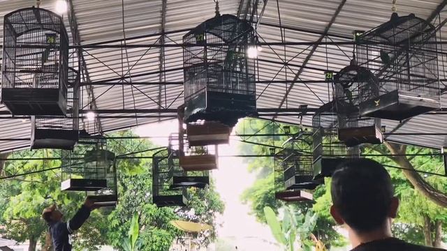 LATBER SENIN (BnR PLAZA) смотреть онлайн