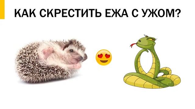 Презентация Контейнер против фуры Москва-Новосибирск докладчик Звягинцев М М