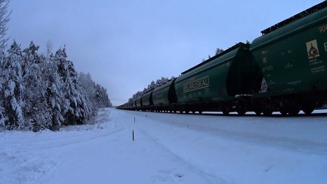 LTG Cargo ER20CF-003/021 with freight train смотреть онлайн
