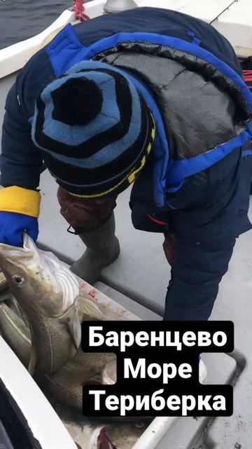 Рыбалка на 220 метров глубины смотреть онлайн