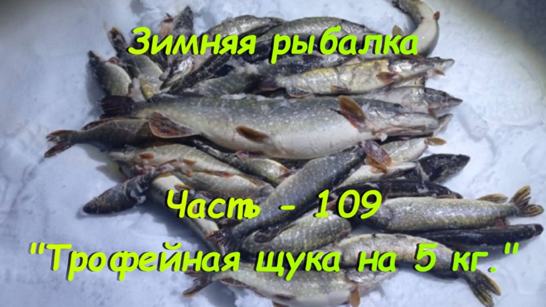 Зимняя рыбалка. Часть - 109. "Трофейная щука на 5 кг.". смотреть онлайн