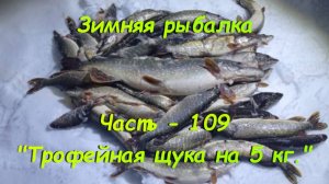 Зимняя рыбалка. Часть - 109. «Трофейная щука на 5 кг.».