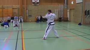 3 Дан, Чой-Йонг, черный пояс тхэквондо taekwondo таэквондо комплекс хьенг