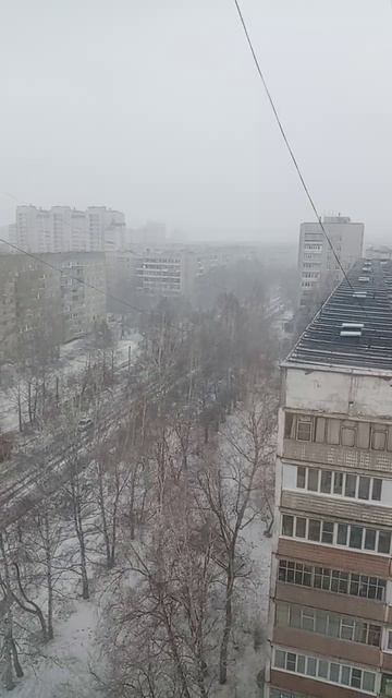 Возможно последний Снег в эту зиму,вперемешку с ветром.Ищите в Vk Vlvaywalk #барнаул #snow #снег
